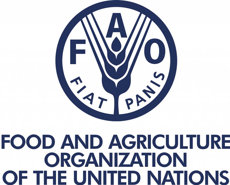FAO là gì? Mục tiêu và vai trò của tổ chức FAO là gì?