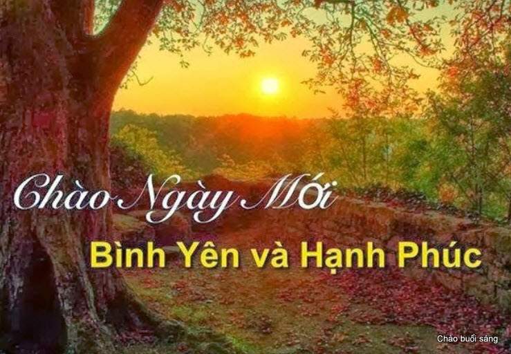 Những hình ảnh chào ngày mới ý nghĩa và hài hước