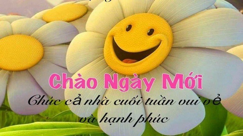 Tổng hợp hình ảnh chào ngày mới ngập tràn năng lượng