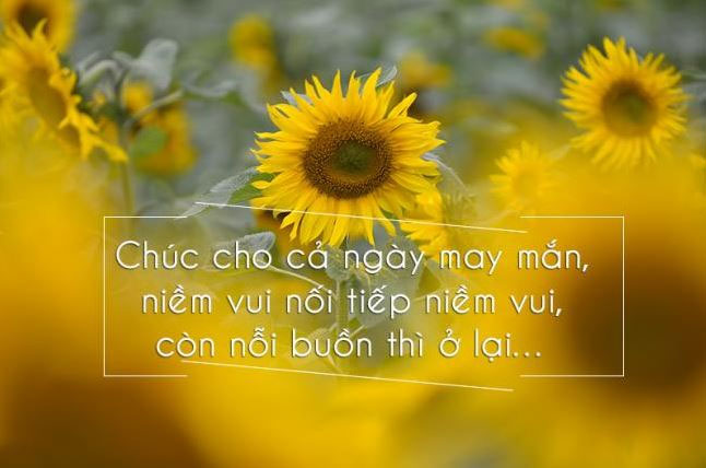 Hình ảnh chào buổi sáng, hình ảnh chào ngày mới đẹp ...