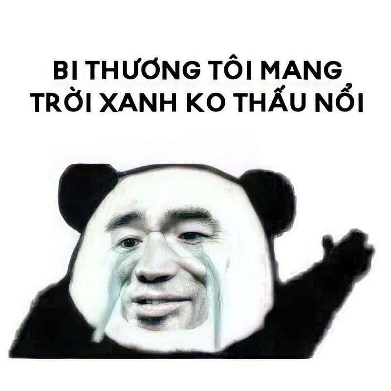 Meme xin lỗi, meme mèo xin lỗi, meme xin lỗi được chưa hài ...