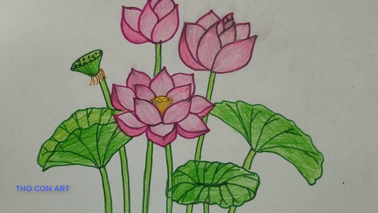 Cách vẽ hoa sen đơn giản nhất l How to draw Lotus flower step by step