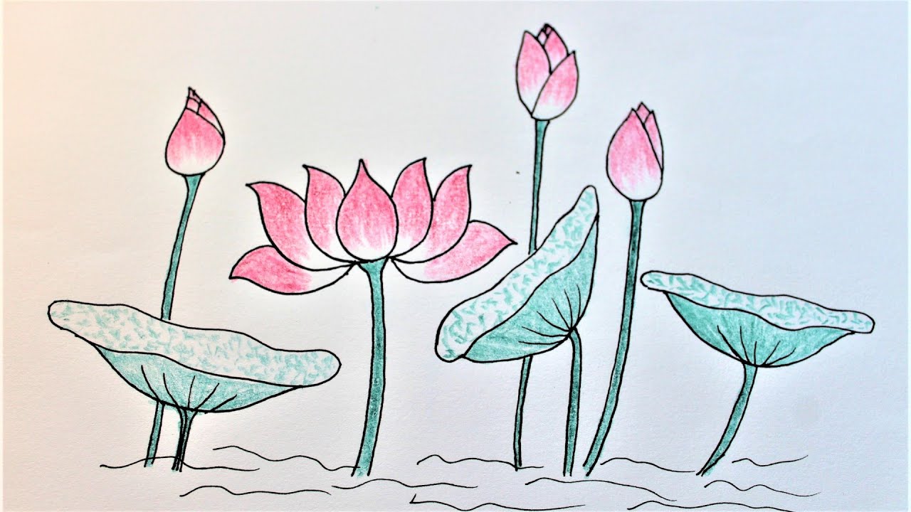 How to draw lotus (mẫu 1)| Cách vẽ hoa sen đẹp trang trí báo tường 20-11 |  Flower drawing tutorial